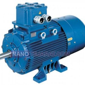 Cemp Explosion-Proof Electric Motor Cemp Explosion-Proof Electric Motor